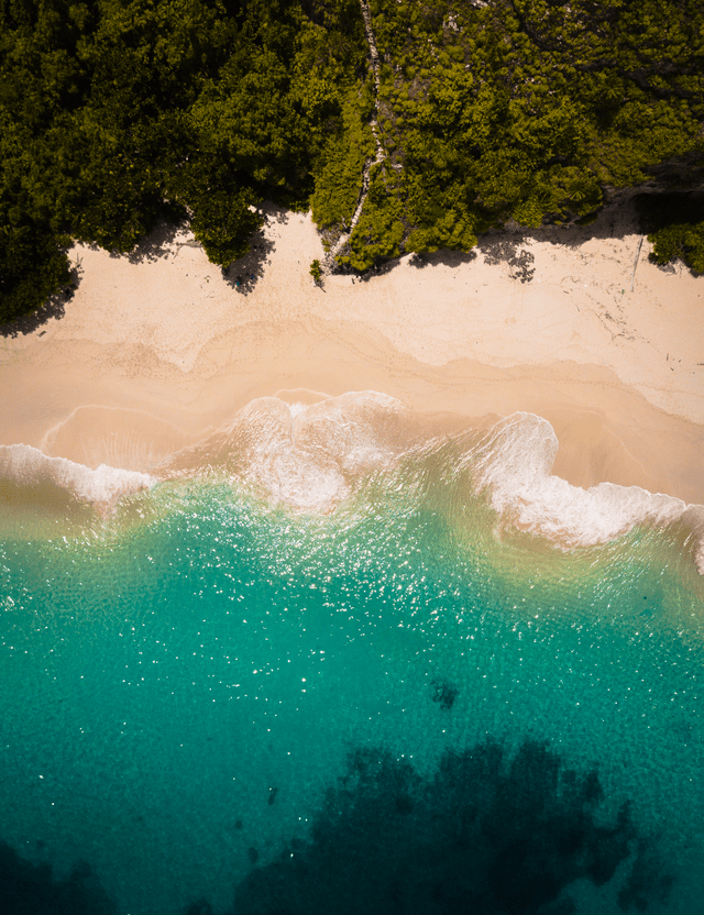 aerial shot