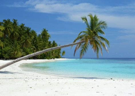 Package Image